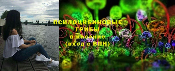 дживик Киренск