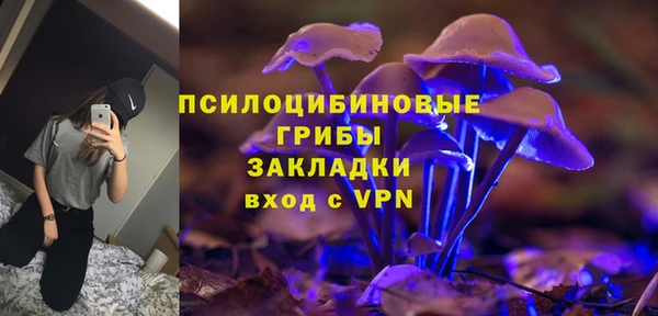 дживик Киренск