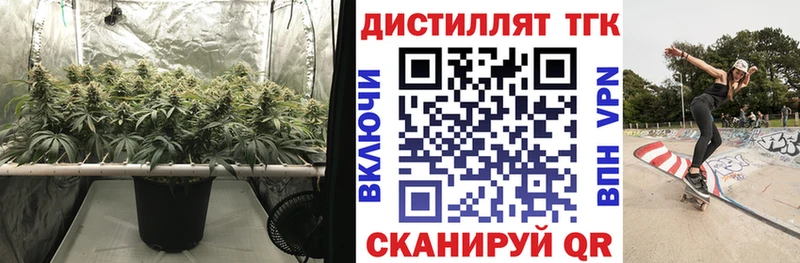 Купить где  Новоржев  Дистиллят ТГК THC oil 